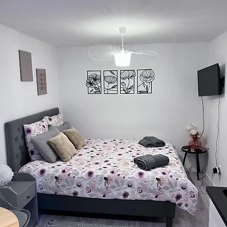 Le Patcho Confortable & Chaleureux , Idealement Situe Proche Centre Quartier Neustadt Tribunal, Contades