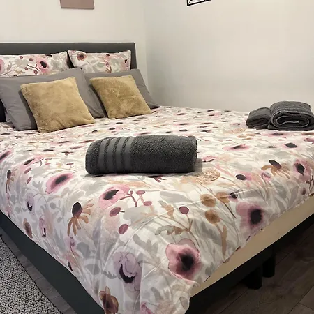 Le Patcho Confortable & Chaleureux , Idealement Situe Proche Centre Quartier Neustadt Tribunal, Contades Strasbourg