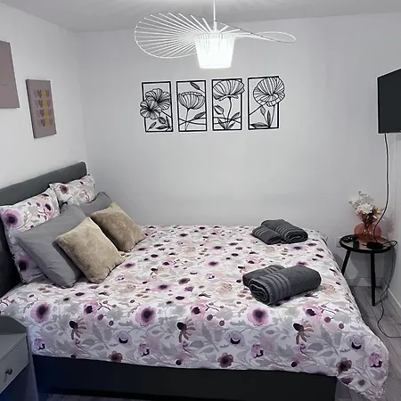 Le Patcho Confortable & Chaleureux , Idealement Situe Proche Centre Quartier Neustadt Tribunal, Contades Apartman