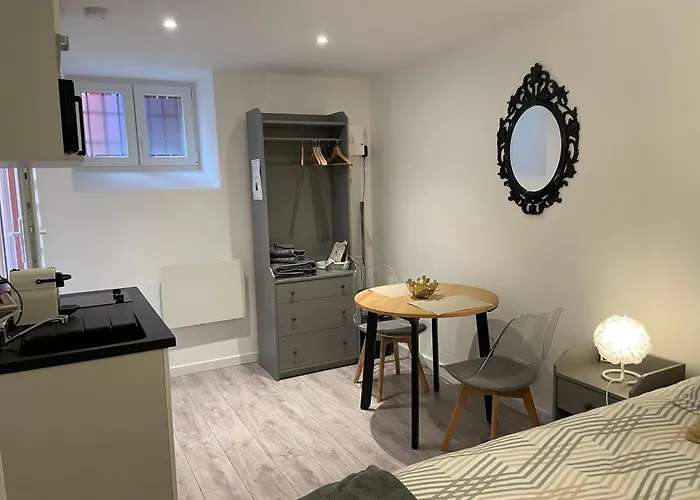 Le Patcho Confortable & Chaleureux , Idealement Situe Proche Centre Quartier Neustadt Tribunal, Contades Апартаменты *