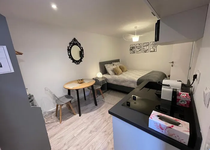 Le Patcho Confortable & Chaleureux , Idealement Situe Proche Centre Quartier Neustadt Tribunal, Contades Апартаменты