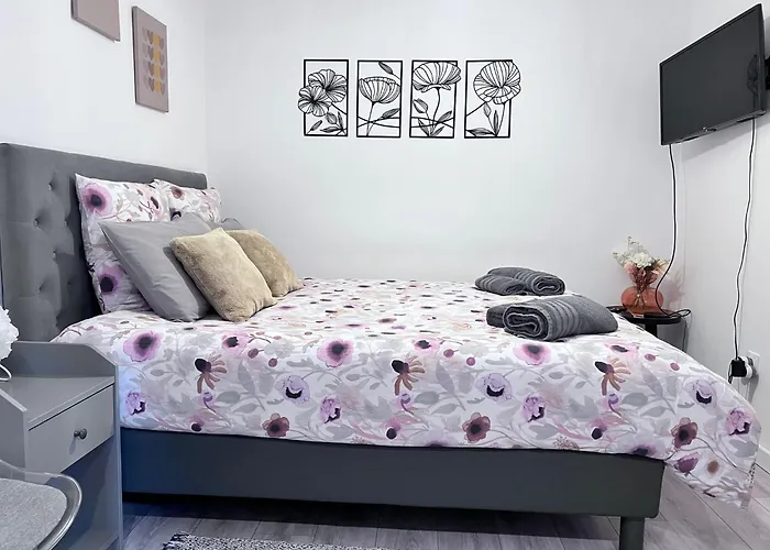 Апартаменты Le Patcho Confortable & Chaleureux , Idealement Situe Proche Centre Quartier Neustadt Tribunal, Contades