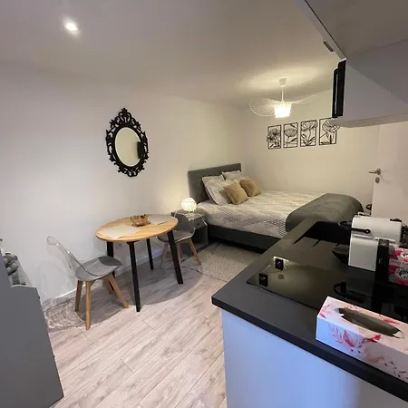 Le Patcho Confortable & Chaleureux , Idealement Situe Proche Centre Quartier Neustadt Tribunal, Contades Apartman